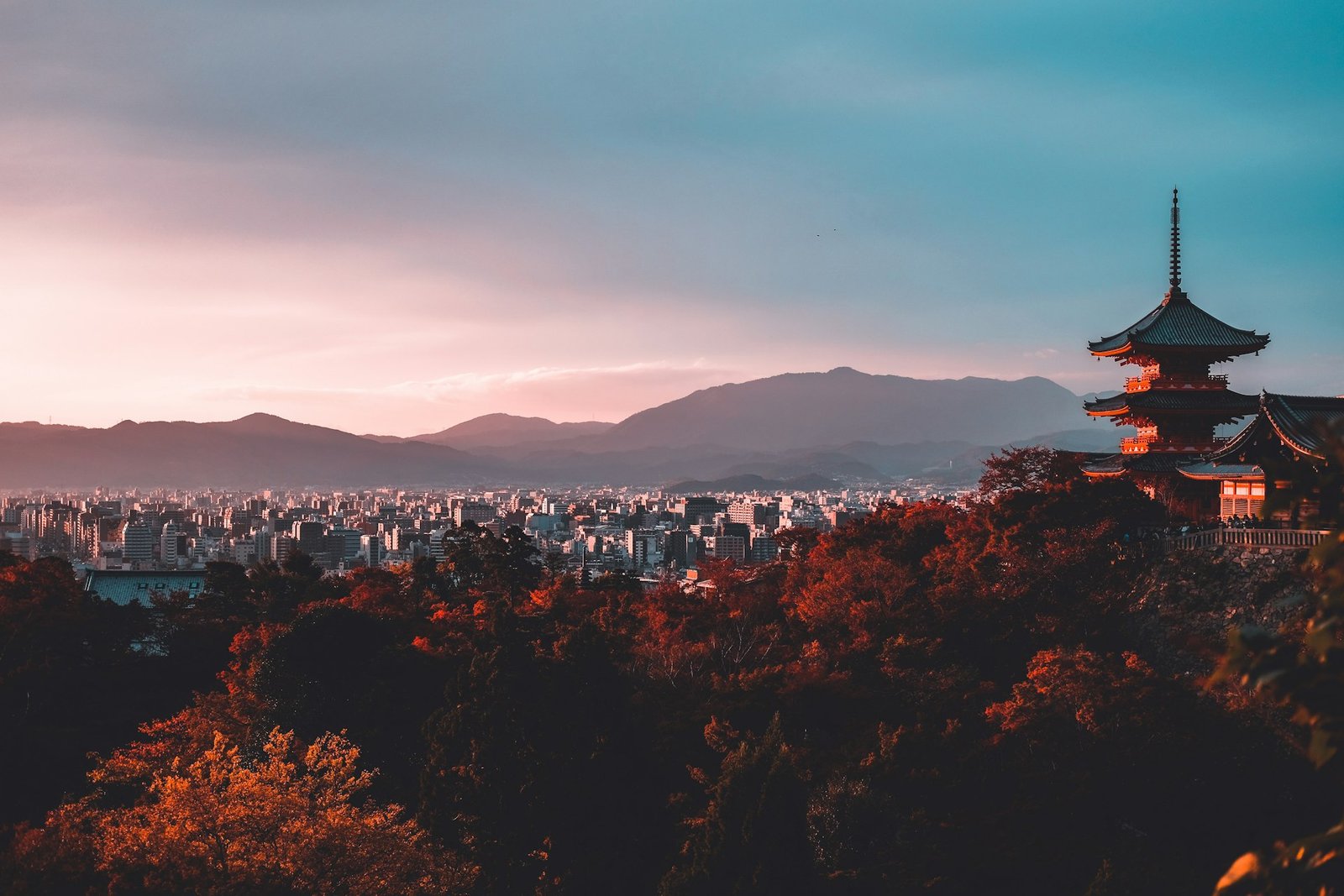Fushimi Inari shrine gates in Kyoto rising through forest